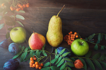 Autumn harvest. Pears, plums, apple, and leaves on the wooden table