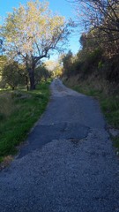 strada di campagna in salita