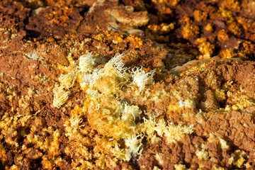 Dallol, Danakil Depression, Ethiopia. The hottest place on earth.