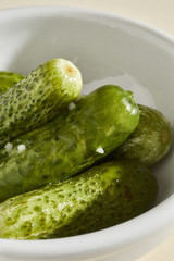 Pennsylvania dutch style half sour cucumber pickles