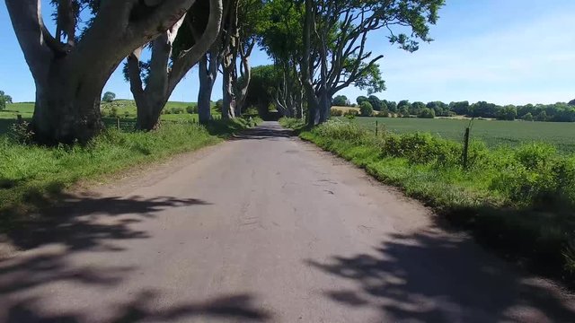'The Dark Hedges&rsquo; Game of Thrones location Northern Ireland 