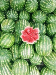Watermelon 