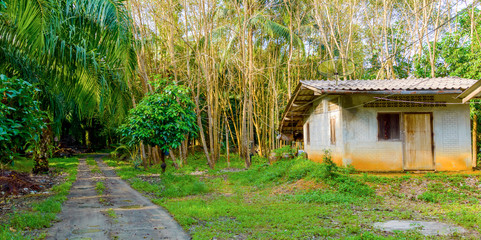 Small bungalow at the coconut palm trees plantation