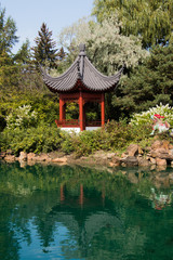 Peaceful Pagoda