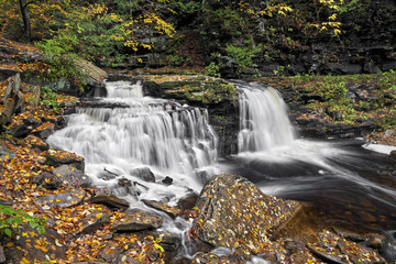 Cayuga Falls - Ricketts Glen, Pennsylvania
