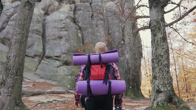 Cheerful brunette tourist man wears a shirt ina cages and backpacked have walk through forest, autumn tourism concept. Rocks in the mountains. Autumn