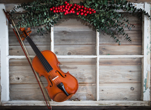 horizontal image of a violin lying on a rustic wood surface with a white window frame and green holly with red berries.