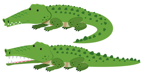 Cute crocodiles on white background