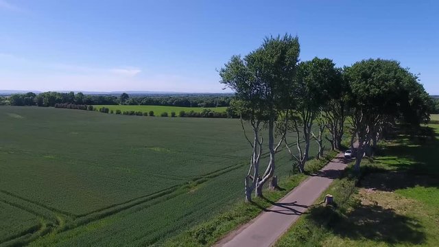 'The Dark Hedges&rsquo; beech trees Game of Thrones location Northern Ireland 3