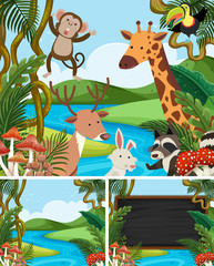 Background template with animals in mountain