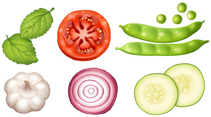 different types of vegetables on white background