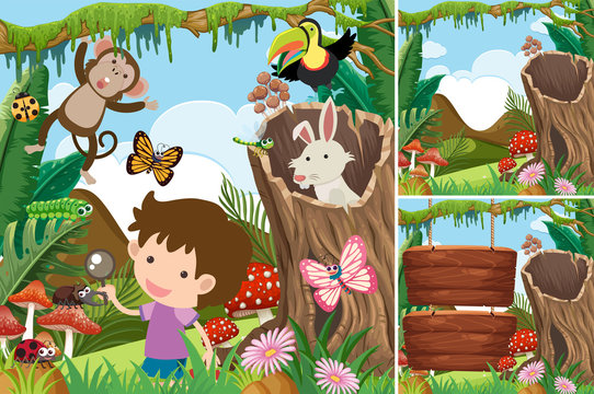 Three forest scenes with boy and animals