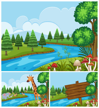 Background scenes with animals by the river