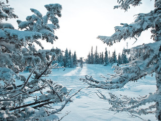 Winter