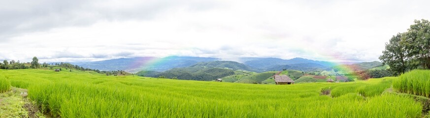 Fototapeta na wymiar Beautiful Green Rice Field With Blue Sky And Rainbow In The Mountain Background.