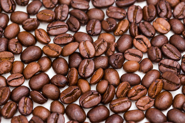 Top view of coffee beans