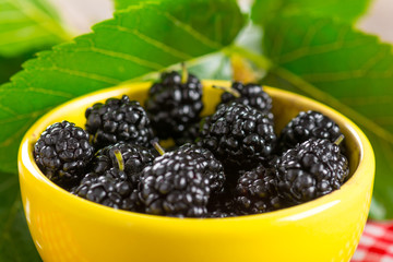Ripe black mulberry in ceramic bowl