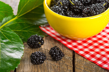 Ripe black mulberry in ceramic bowl