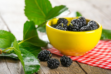 Ripe black mulberry in ceramic bowl