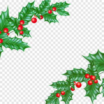 Christmas greeting card template background of holly leaf wreath and Christmas lights garland on New Year fir or pine tree decoration. Vector Christmas tree ornament for New Year winter holiday banner