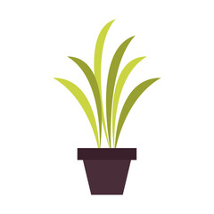 Home plant vase icon vector illustration graphic design