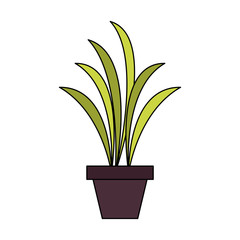 Home plant vase icon vector illustration graphic design