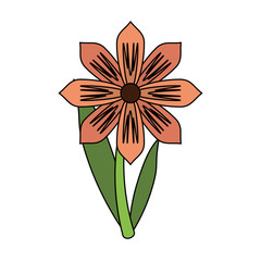 Beautiful flower plant icon vector illustration graphic design