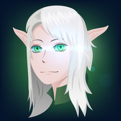 Portrait anime elf girl