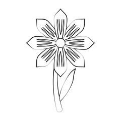 Beautiful flower plant icon vector illustration graphic design