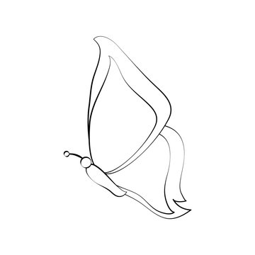 Beautiful buttefly isolated icon vector illustration graphic design