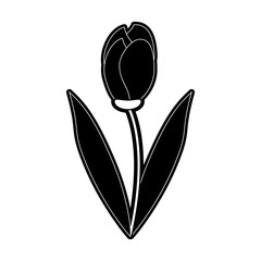 Beautiful flower plant icon vector illustration graphic design