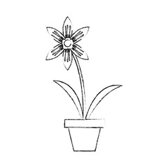 Home plant vase icon vector illustration graphic design