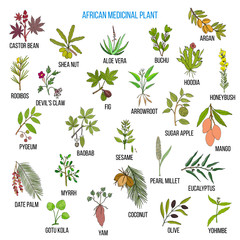 African medicinal plants