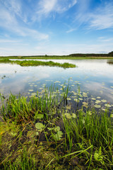 River landscape with sky and clouds
