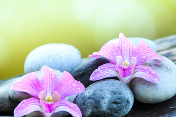 zen stone and pink orchid on the wooden table with copy space for text or product