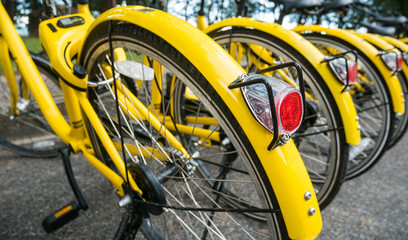 Close up Bicycle tail light on group of yellow vintage bike parking in the Park to service the touristi n bike sharing concept.