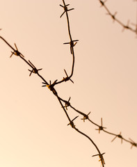 Fototapeta na wymiar barbed wire against the sky at sunset