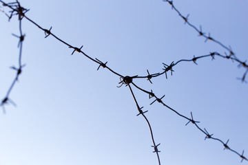 barbed wire on blue sky background