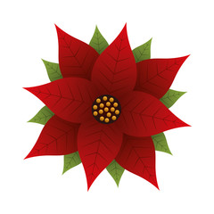 christmas poinsettia flower and leaves decoration vector illustration