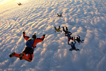 Group skydiving - obrazy, fototapety, plakaty