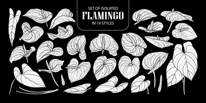Set of isolated white silhouette Flamingo in 19 styles. Cute hand drawn flower vector illustration in white plane (no outline).