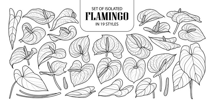 Set of isolated Flamingo in 19 styles. Cute hand drawn flower vector illustration in black outline and white plane.