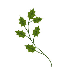 christmas tree branche spruce fir nature decoration vector illustration