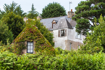 Fototapeta na wymiar Beautiful house with ivy on the walls in Brittany 