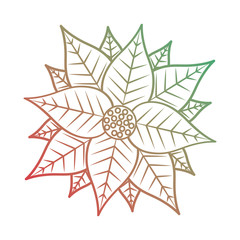 christmas poinsettia flower and leaves decoration vector illustration