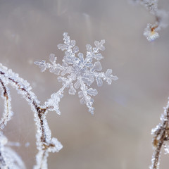 Warm Crystal Snowflake