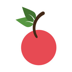 cherry delicious fruit icon vector illustration graphic design