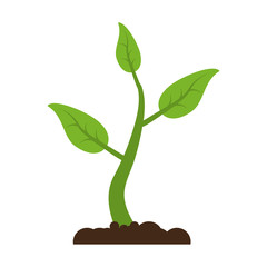 Fototapeta na wymiar Plant growing from ground icon vector illustration graphic design