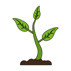 Plant growing from ground icon vector illustration graphic design