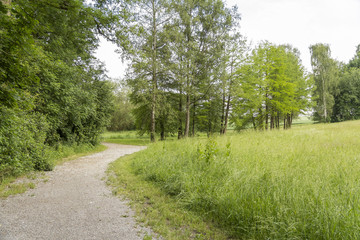 idyllic park scenery